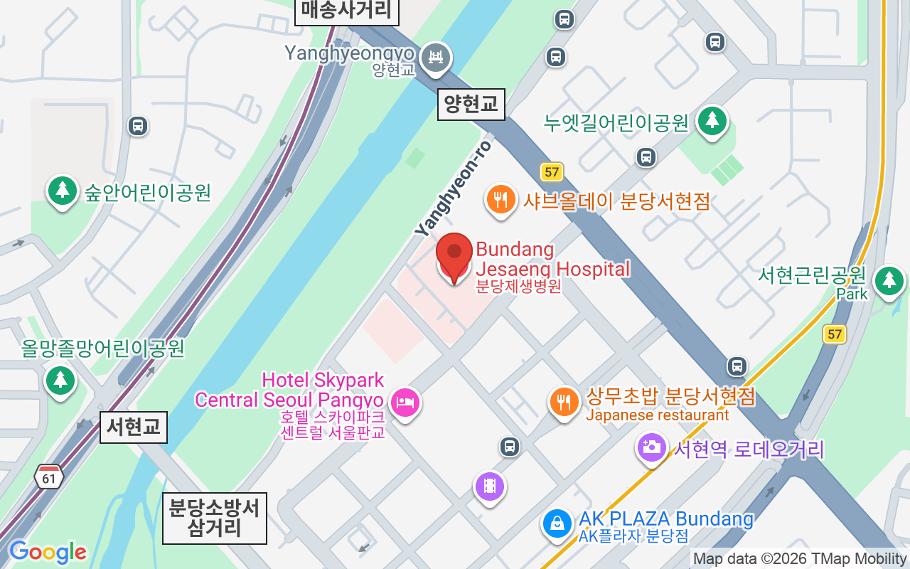 분당제생병원 위치 지도