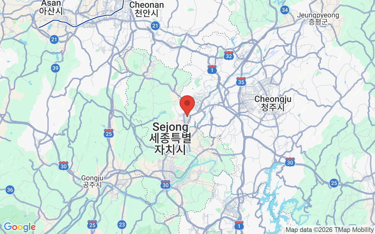 세종특별자치시 위치 지도