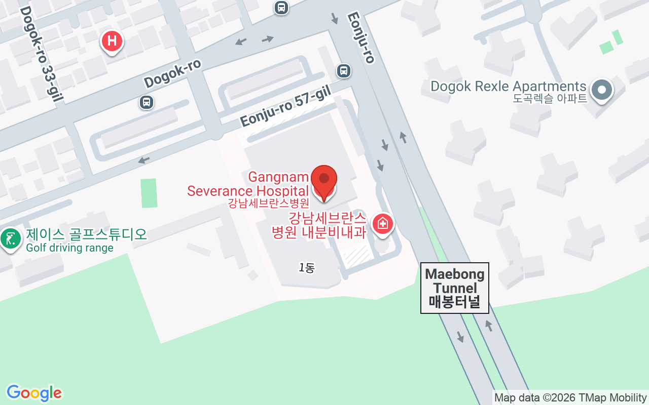 강남세브란스병원 위치 지도