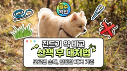 글 대표 이미지