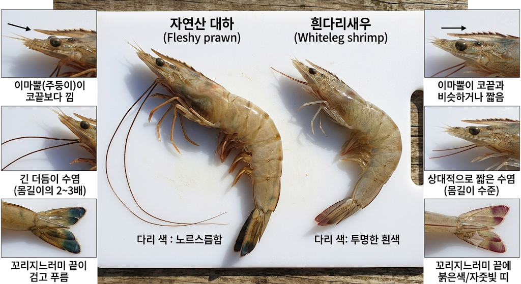 글 대표 이미지