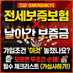 글 대표 이미지