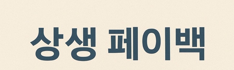 정부 환급 제도 상생페이백 사진 2