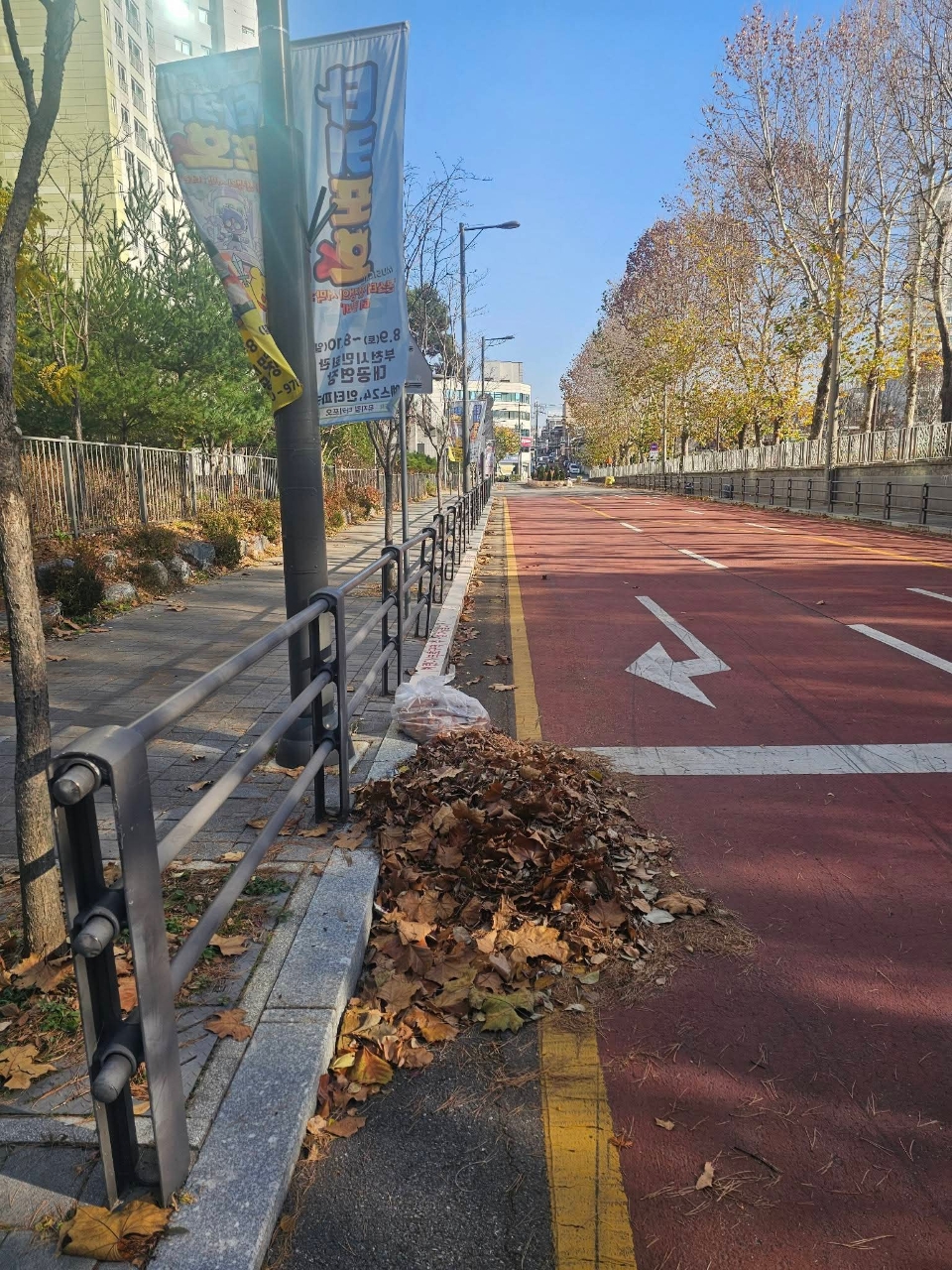 낙엽이 쌓인 도로와 인도 사진 7