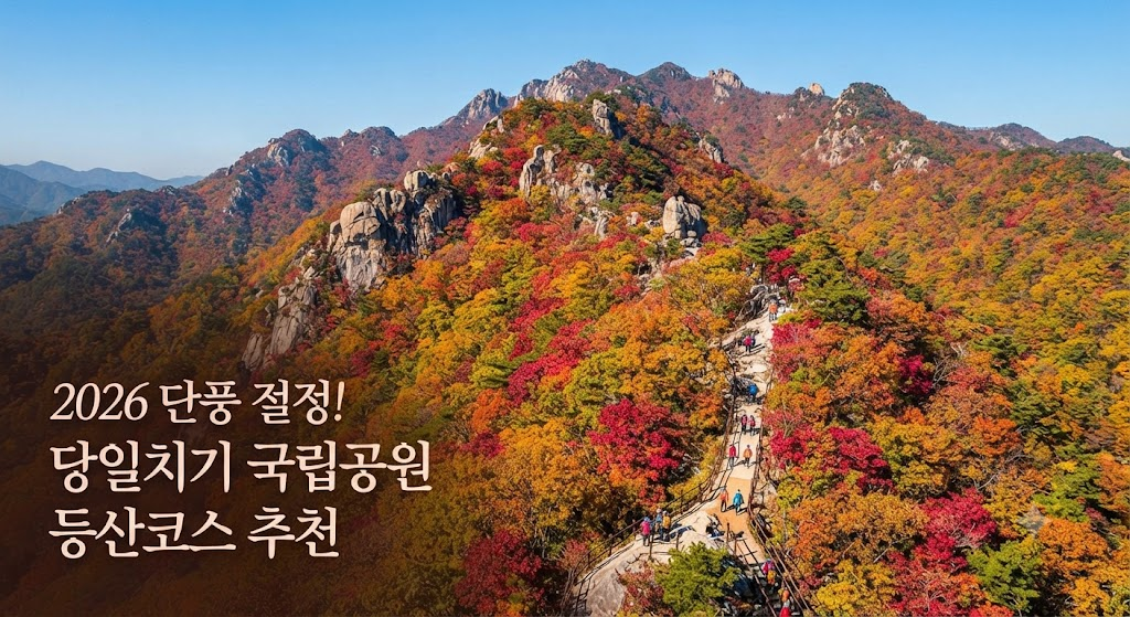 2026년 국립공원 단풍 절정시기 당일치기 등산코스 추천
