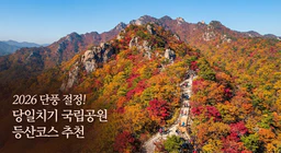 2026년 국립공원 단풍 절정시기 당일치기 등산코스 추천